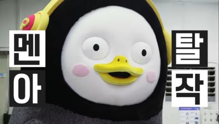 솝왁싱 이미지