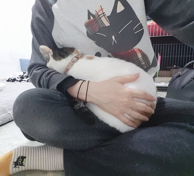 니가하니이뻐 이미지