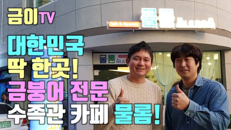 아쿠아듀드 이미지