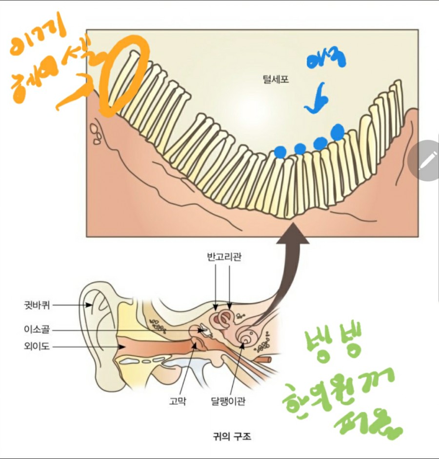 세반헤어 이미지