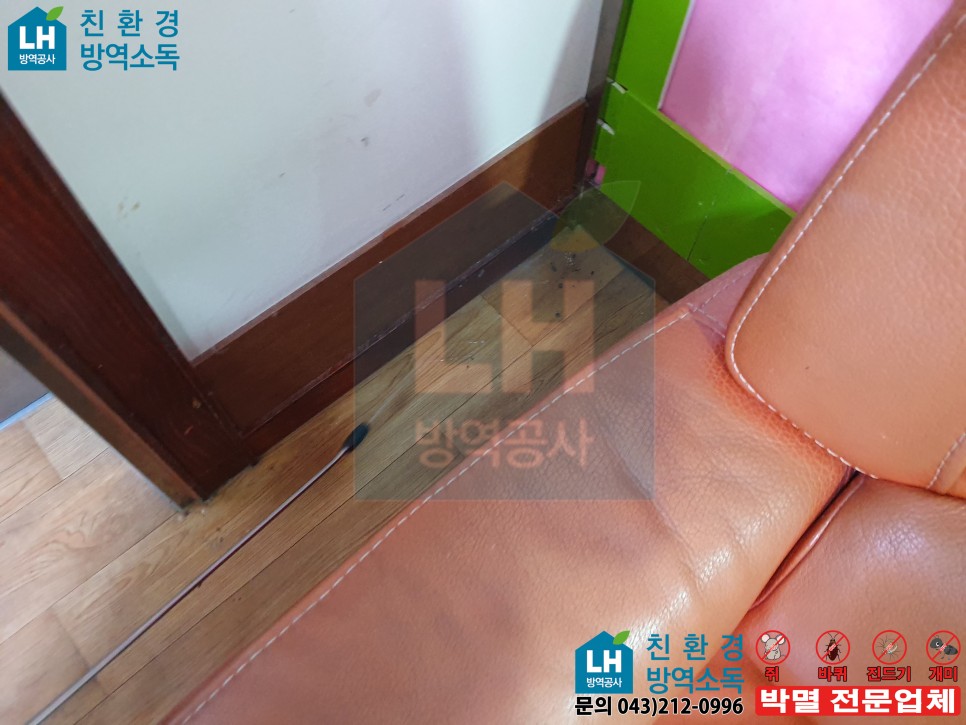 아주환경방역공사 이미지