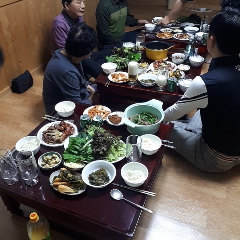담양부엉이집 이미지