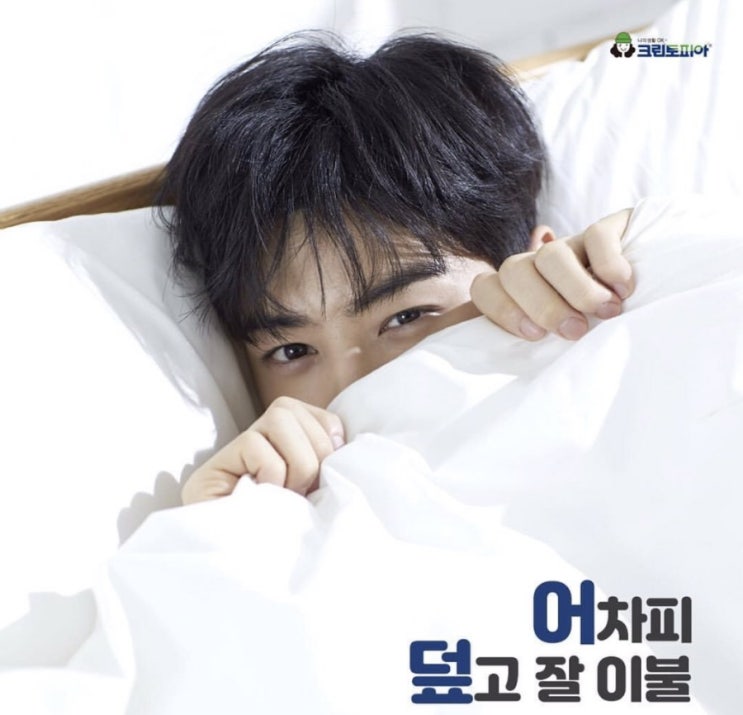 크토 이미지