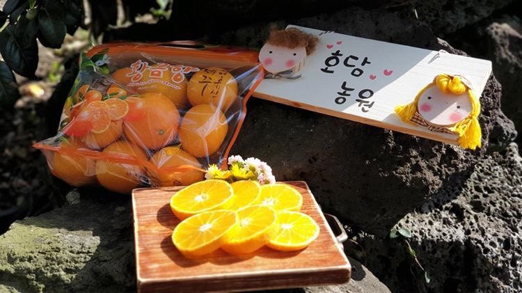 제주호담농원 이미지