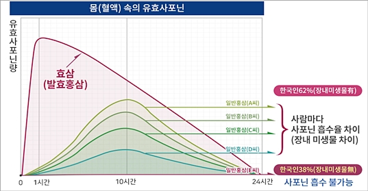 하나식품 이미지