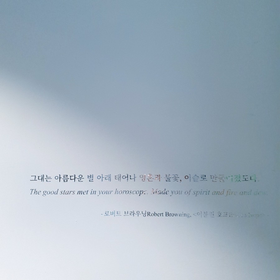 뮤즈 앤 포레 이미지
