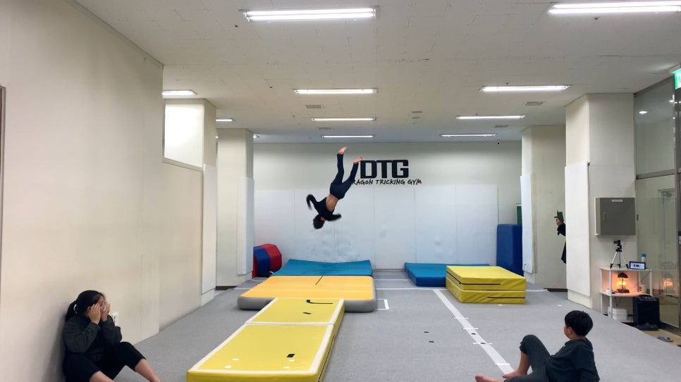 드래곤트릭킹짐 이미지