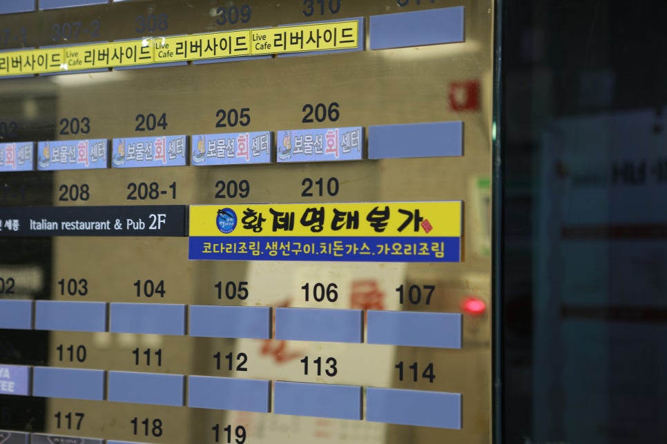 황제명태본가 이미지