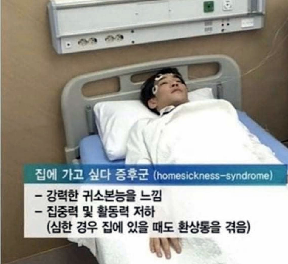 르푸도레 이미지