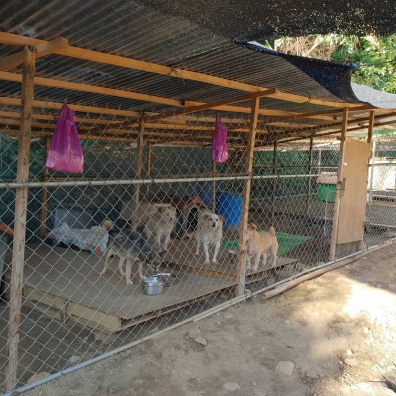 크린업24포천 이미지