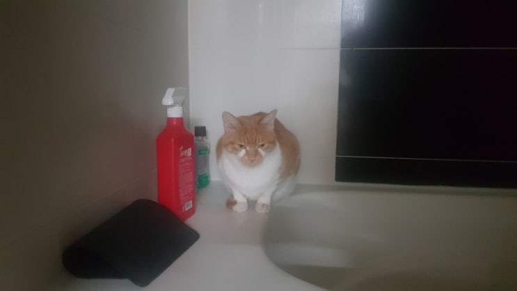 오오네일 이미지