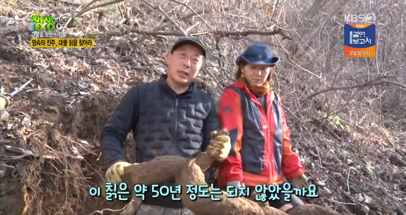 자연주의와산야초 이미지