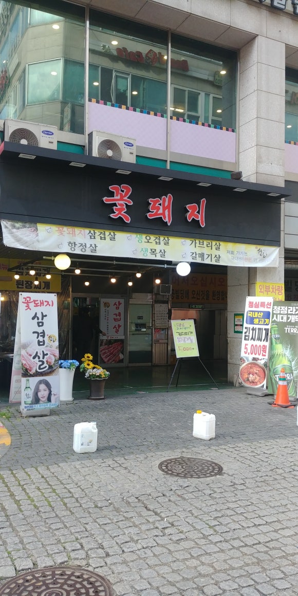 산본꽃돼지 이미지