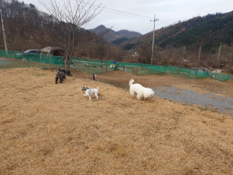 개똥이네캠핑장 이미지
