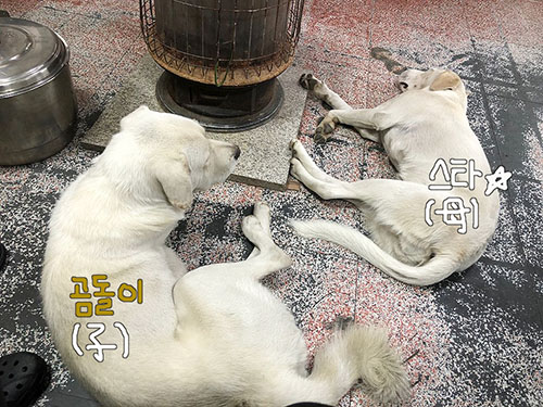 한마음주유소 이미지