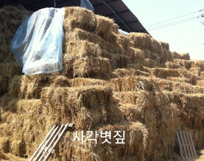 늘푸른산업환경 이미지