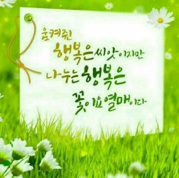 운수대통 이미지
