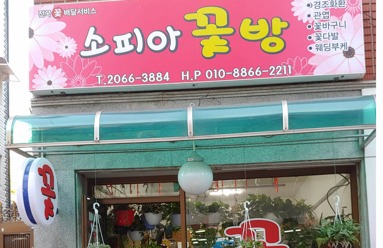 꽃집소피아 이미지