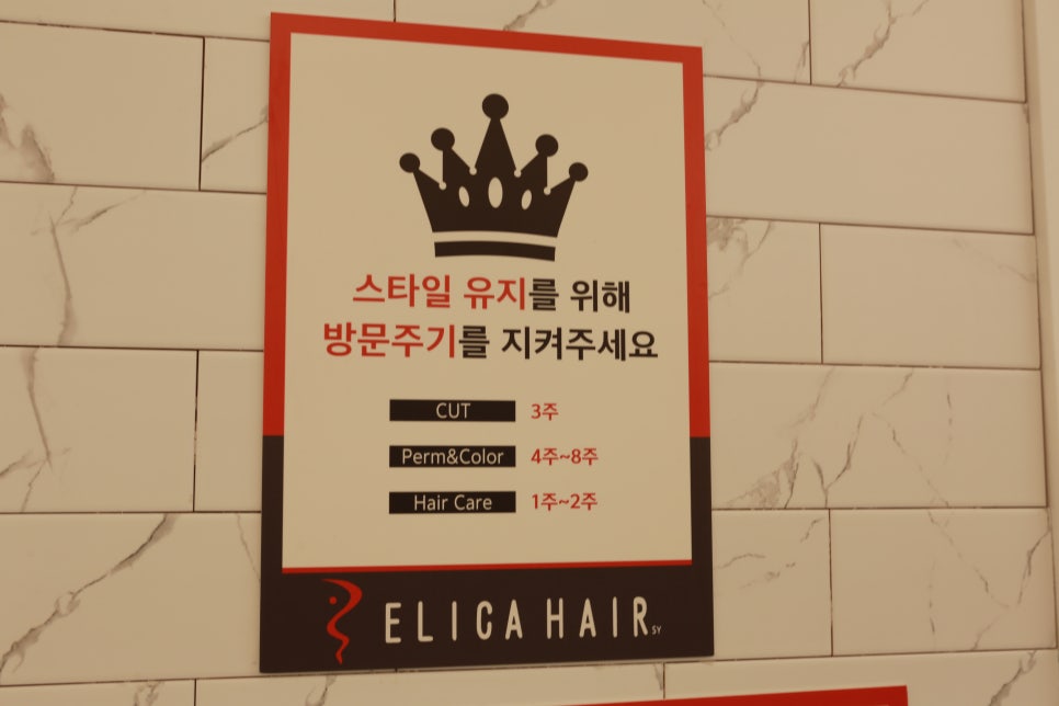 에리카헤어 이미지