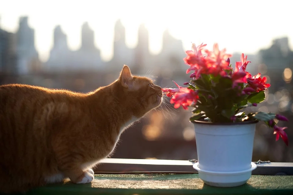 숲과함께 이미지