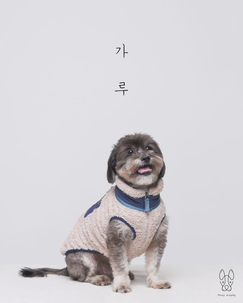 몽그라피 이미지