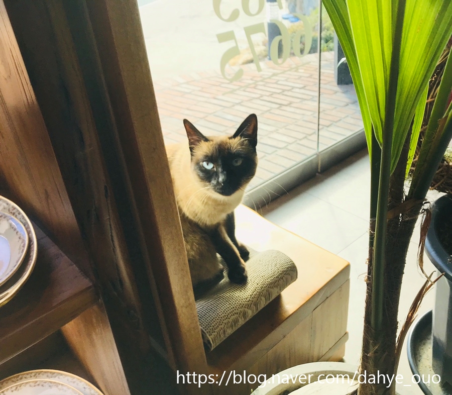 담하도자기 이미지