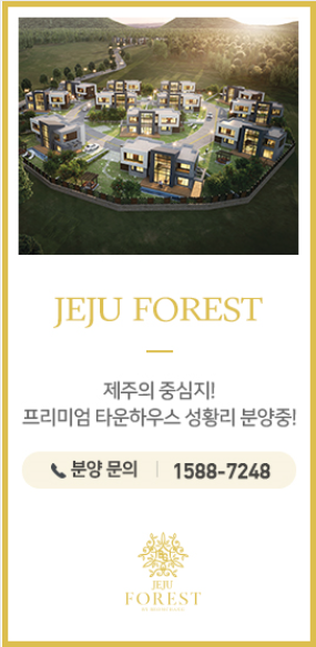 진정제주 이미지