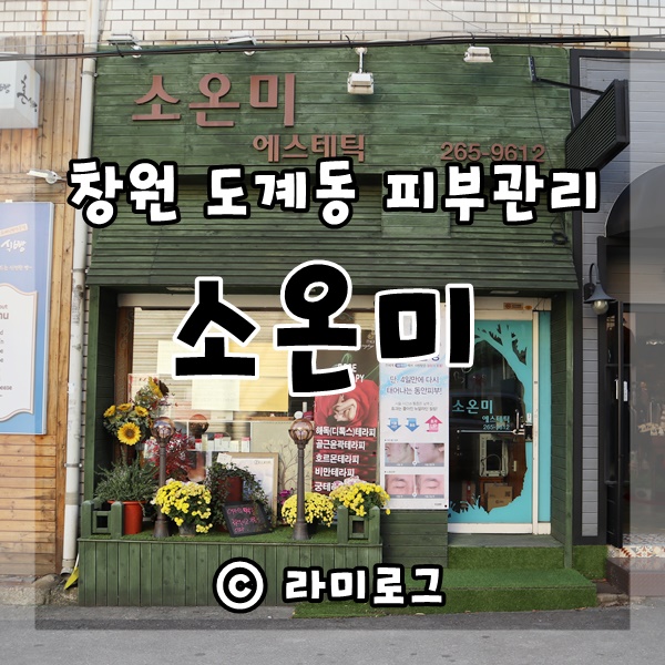 소온미 이미지