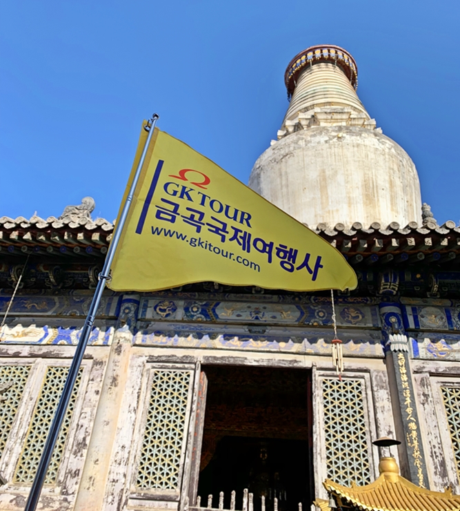 금곡국제여행사 이미지