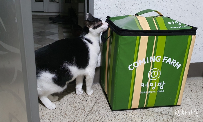 까미팜 이미지