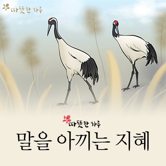 감성과지혜 이미지