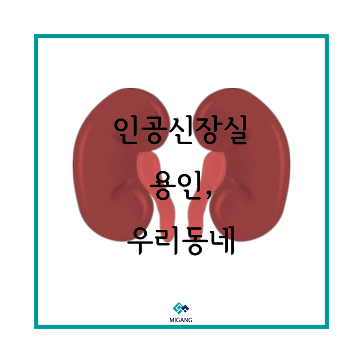 용인정보 이미지