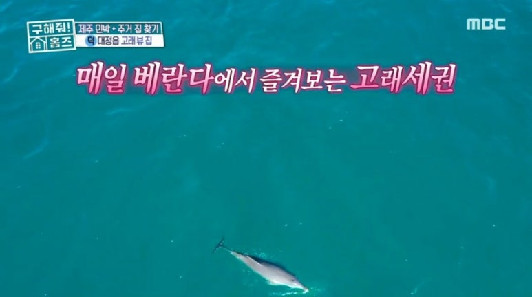 돌고래아파트 이미지
