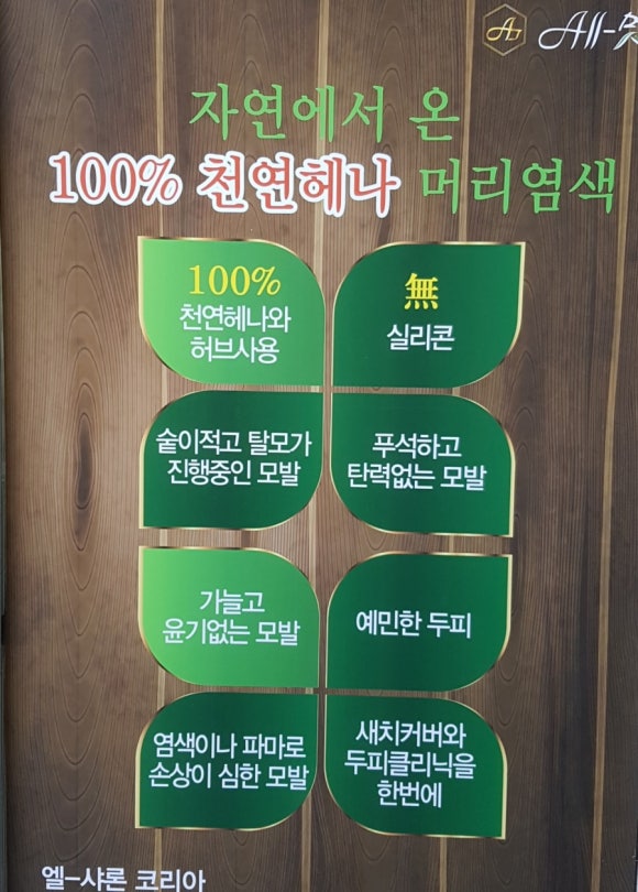 엘샤론코리아 이미지
