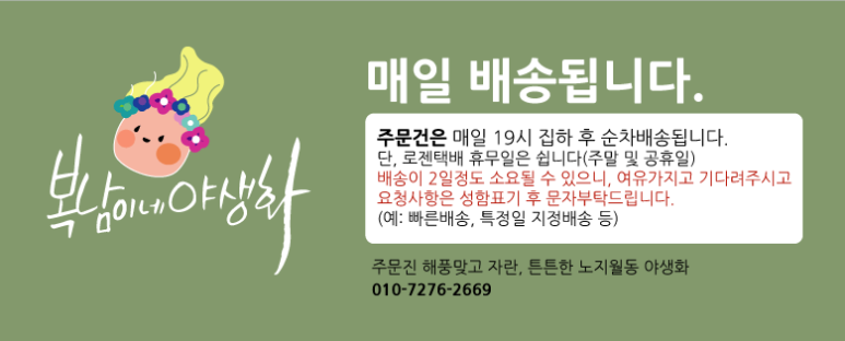 신영카센타 이미지