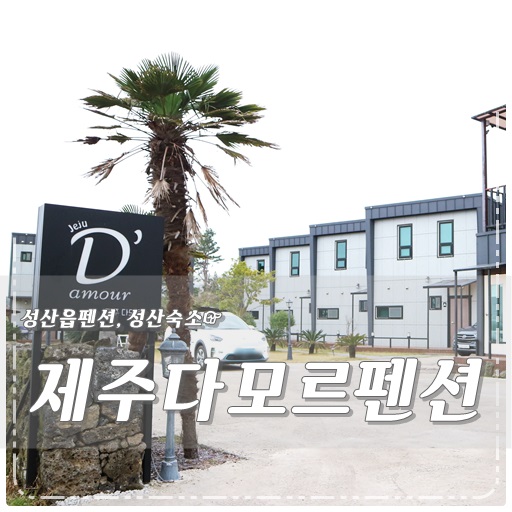 제주다모르 이미지