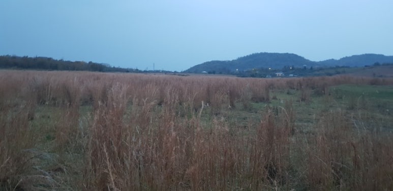 법인행복한농원 이미지