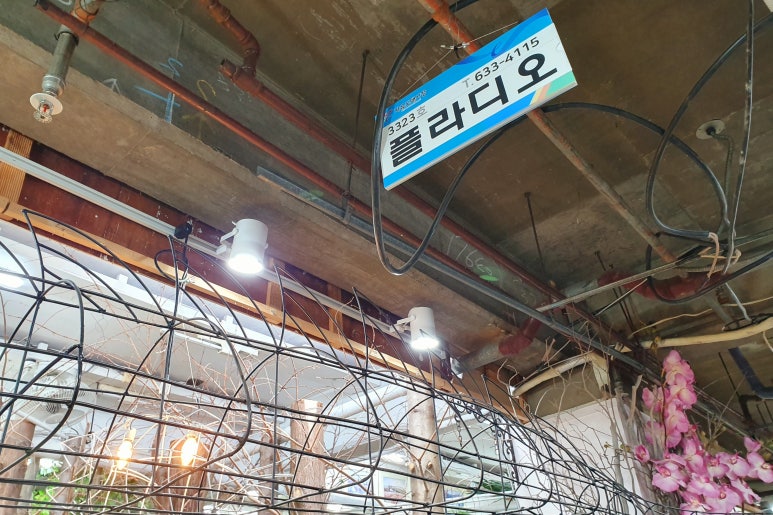 플라디오 이미지