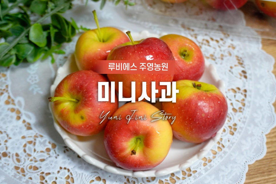주영농원 이미지