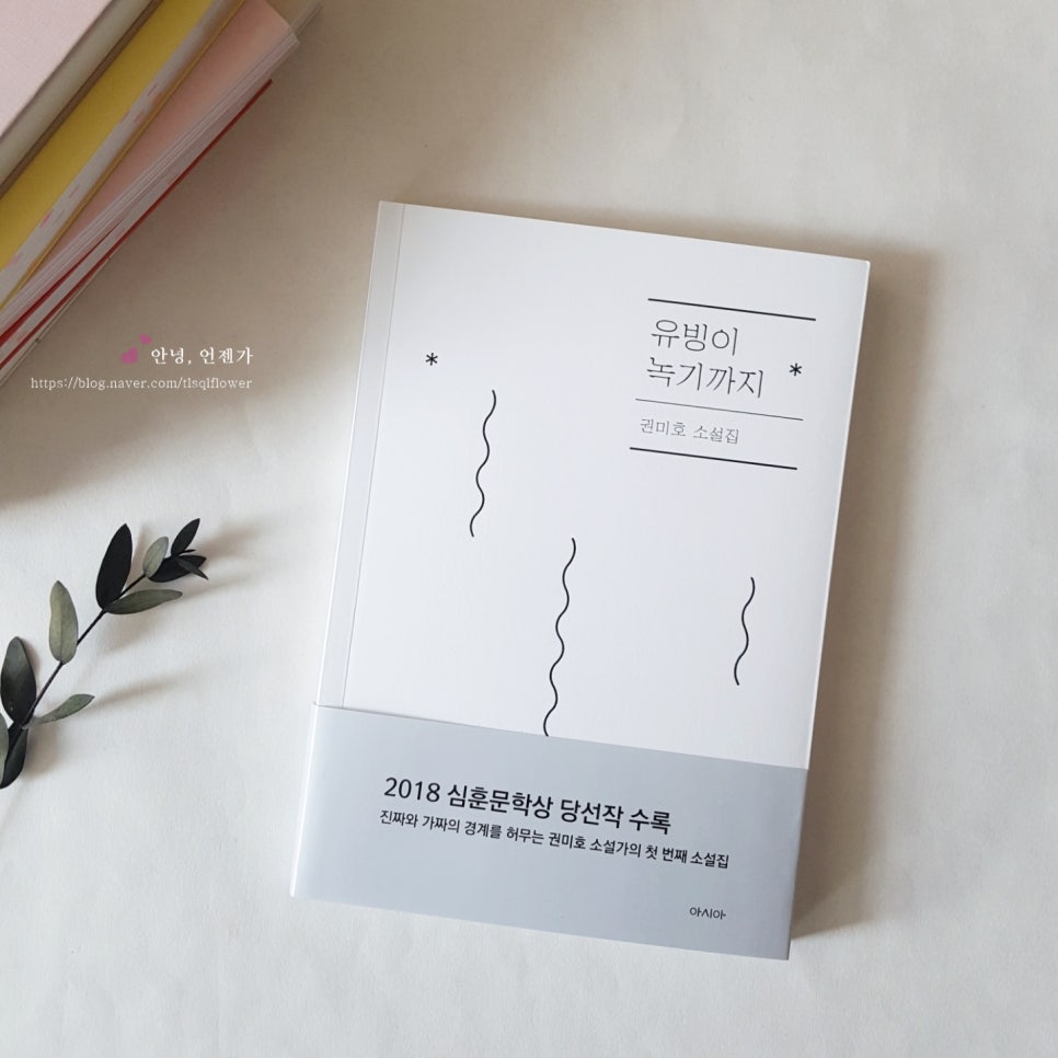 잡토피아 이미지