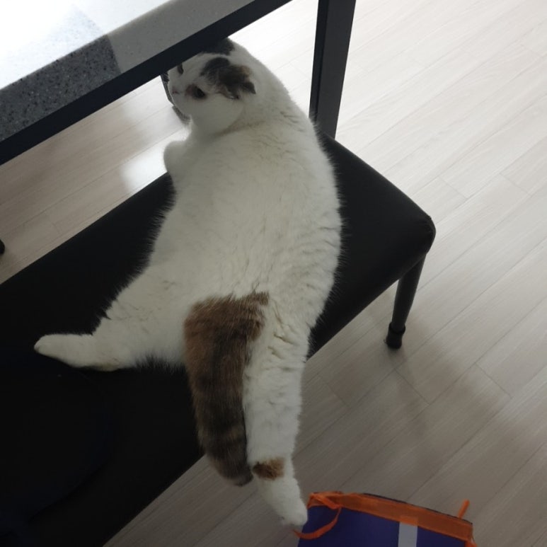 맘스터치박달 이미지