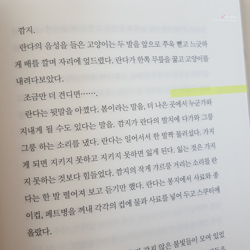 잡토피아 이미지