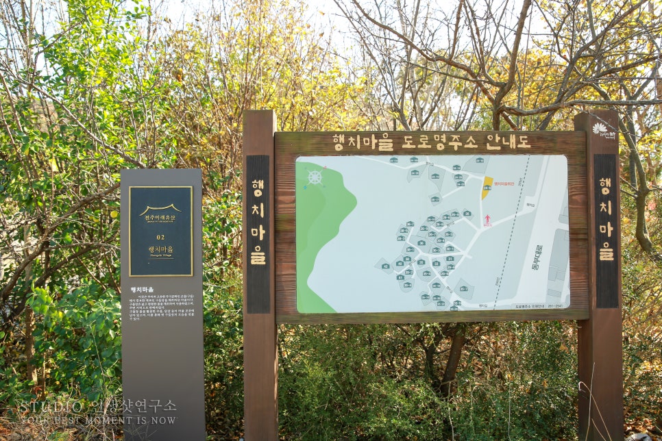 달빛든솔 이미지