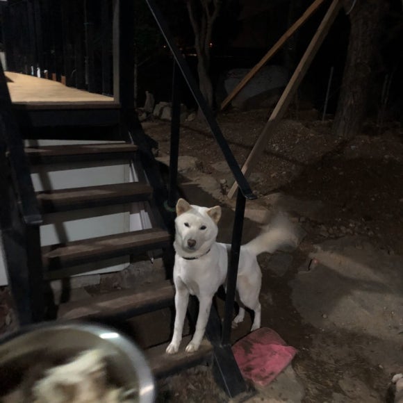 로또케어 이미지