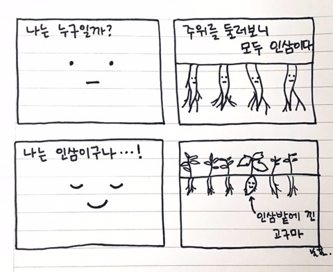 고고마 이미지