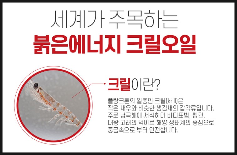 오일스튜디오 이미지