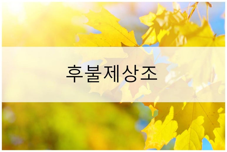 미드미상조 이미지