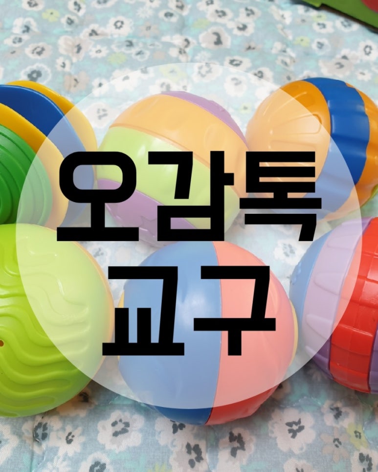 오감플러스원 이미지