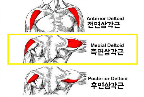 에스오짐 이미지