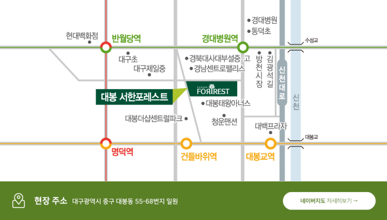 포레스트12 이미지